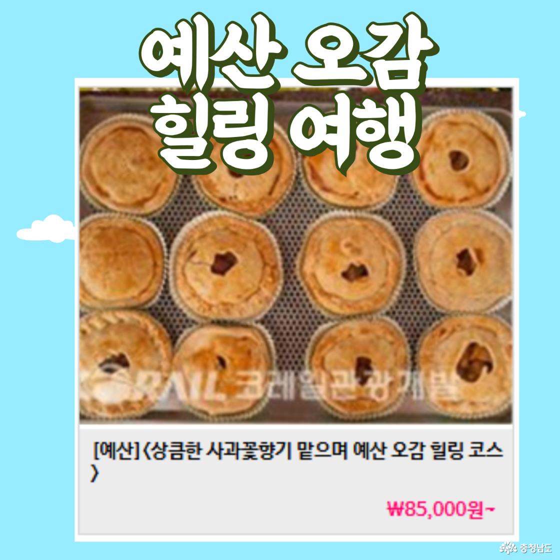 예산여행
