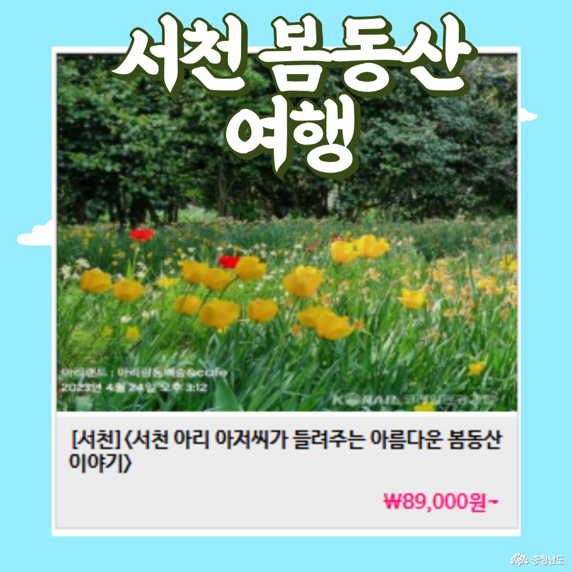 서천 여행
