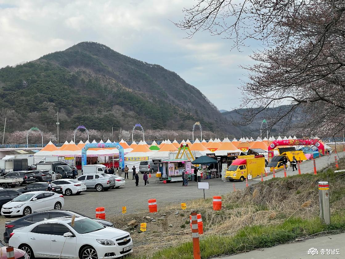 주산벚꽃길에 펼쳐진 야시장부스