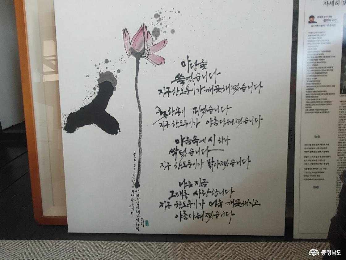 마당을 쓸었습니다 시화
