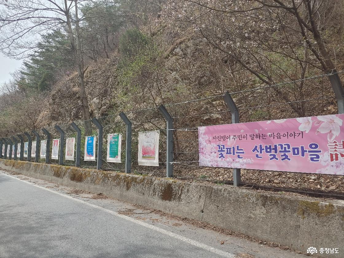 포토뉴스 - 충청남도 누리집(홈페이지) 충청남도 누리집(홈페이지)