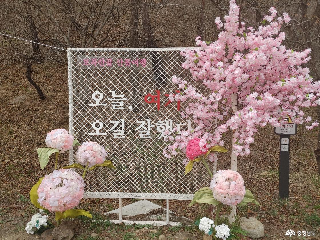 오늘 여기 오길 참 잘했다