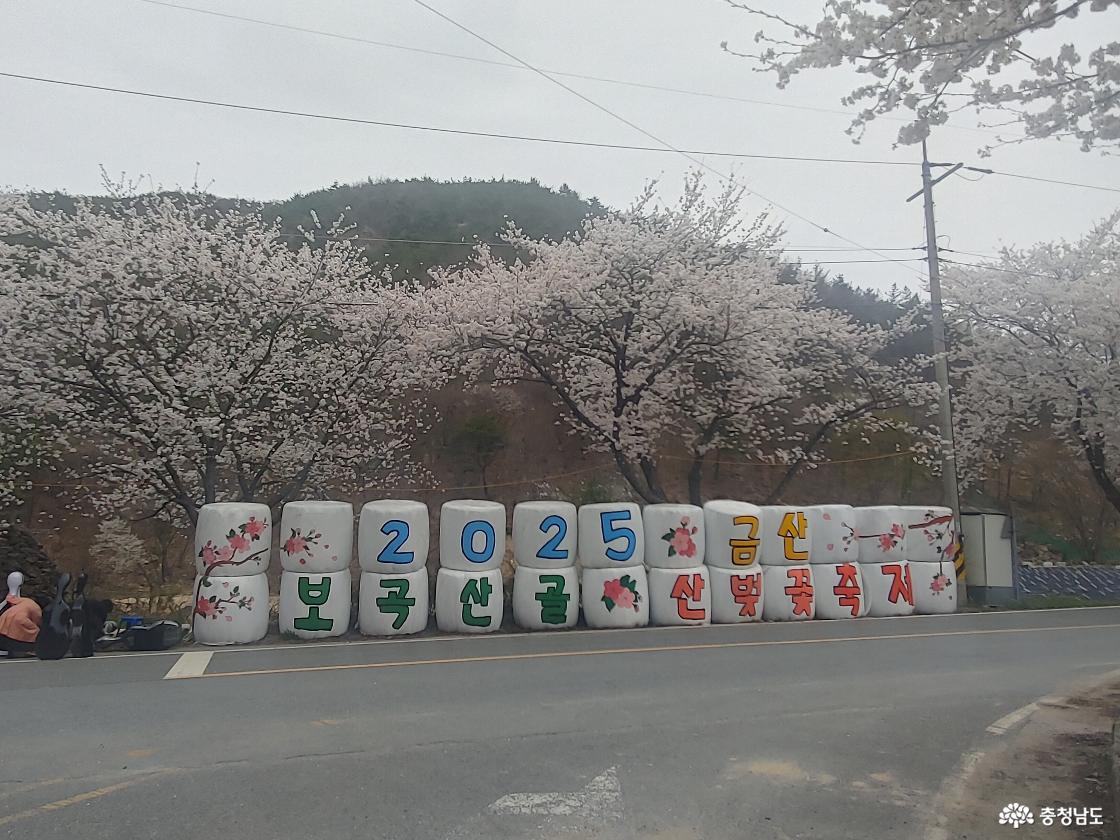 압축포장 적치물로 만든 작품