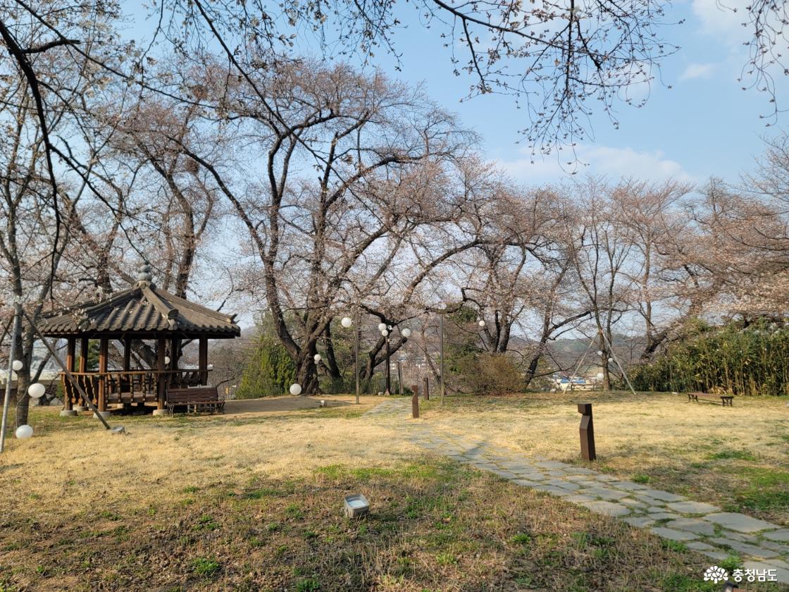 충청남도 역사박물관