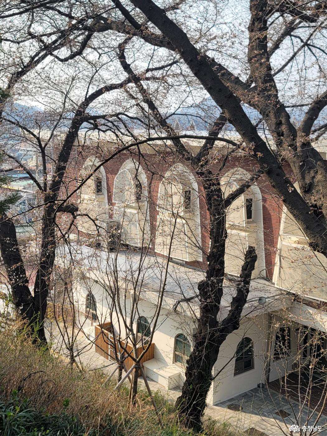 충청남도 역사박물관