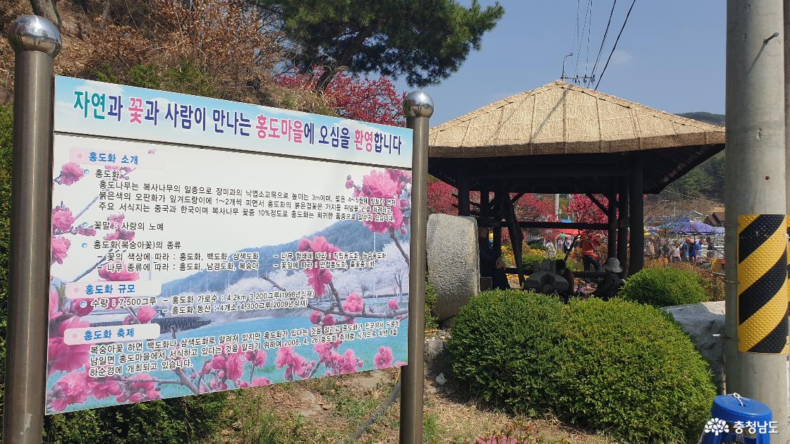 홍도화 마을 안내판