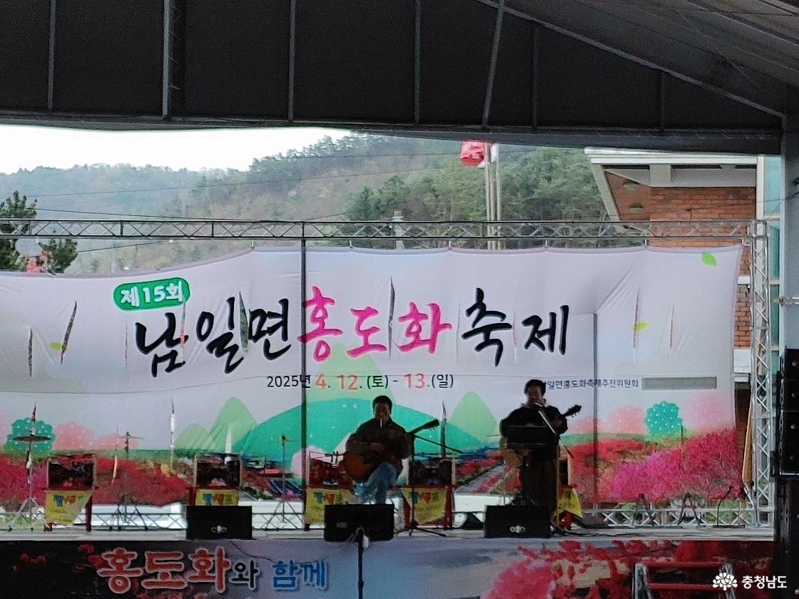 홍도화 축제 무대