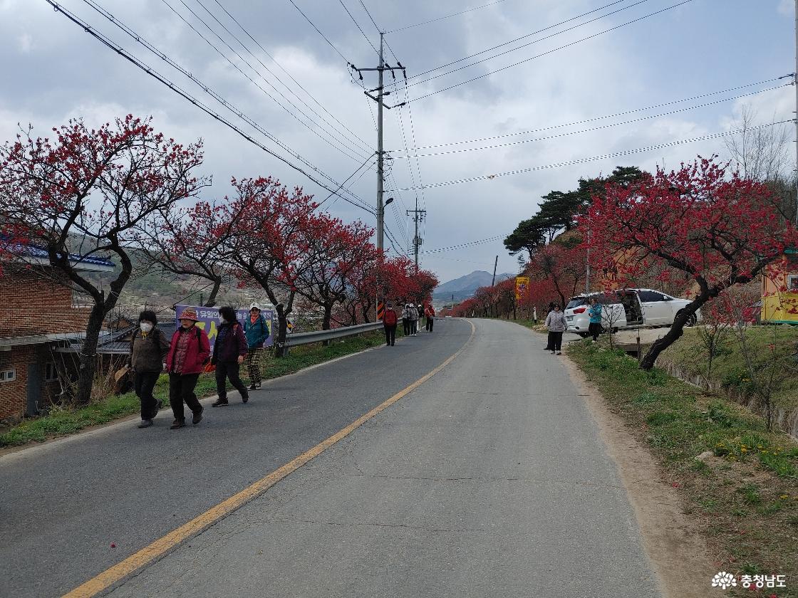홍도화를 관람하고 있는 사람들