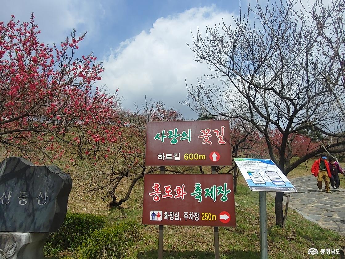 사랑의 하트길 둘레길 코스