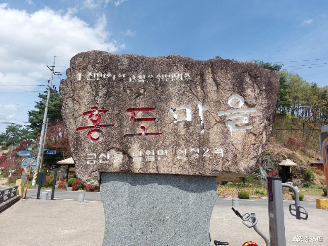 충남 금산 「홍도화」의 매력에 잠시 혼을 빼앗겼습니다