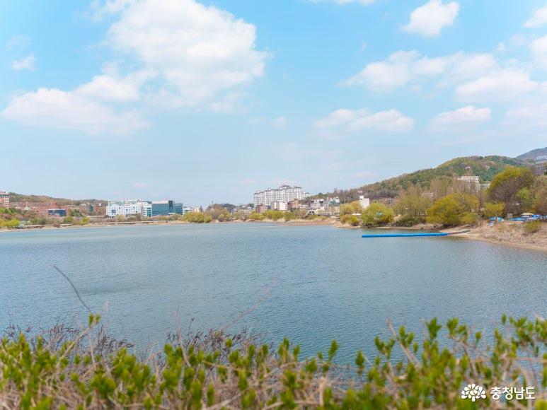 천안 데이트하기 좋은 산책로 천안호수공원 천호지