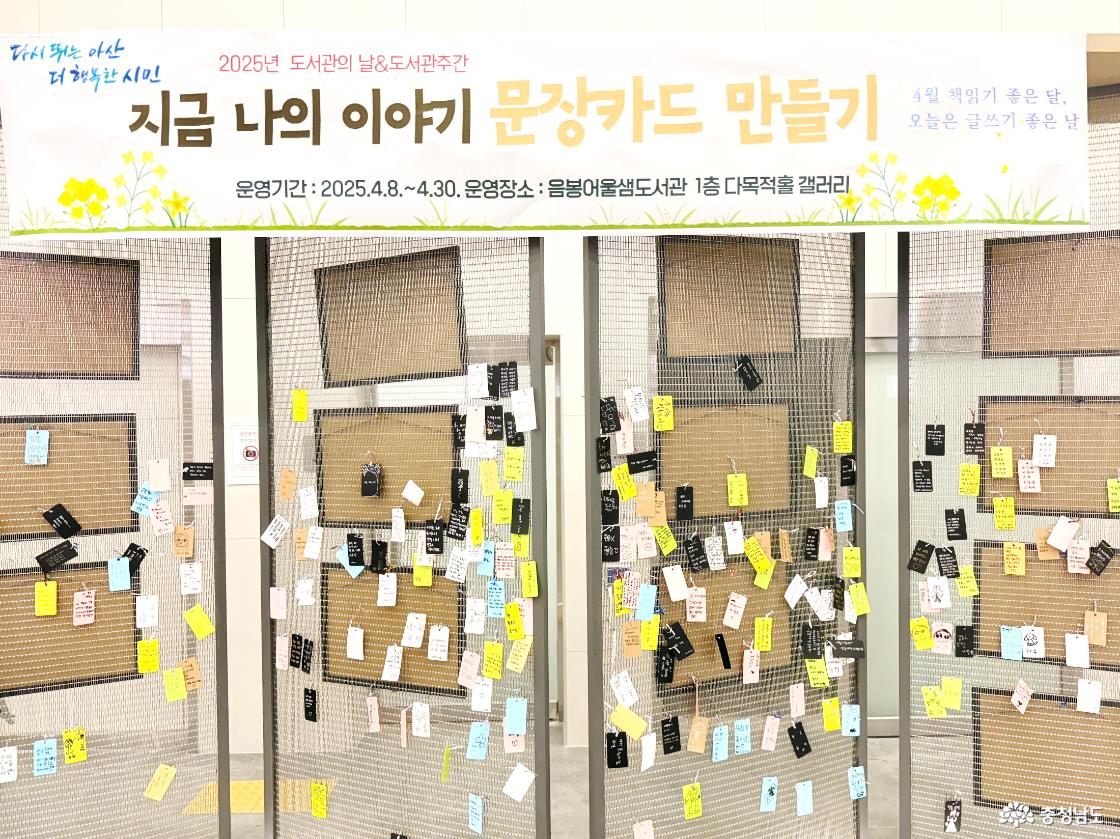 작년 개관 후 신상도서관의 느낌처럼 깔끔한 느낌이 돋보인다