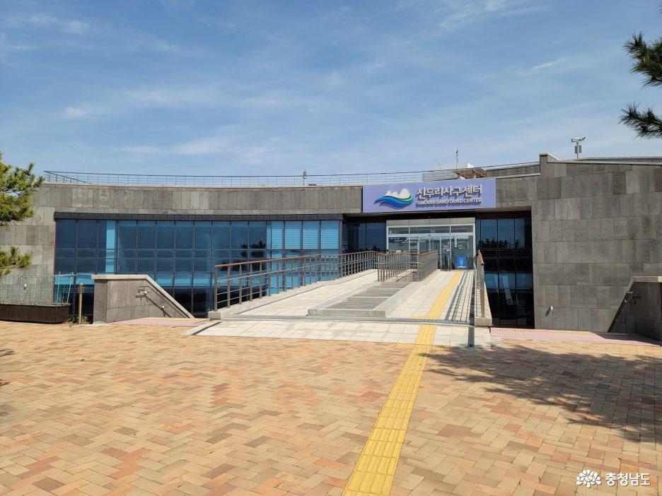 신두리 해안사구