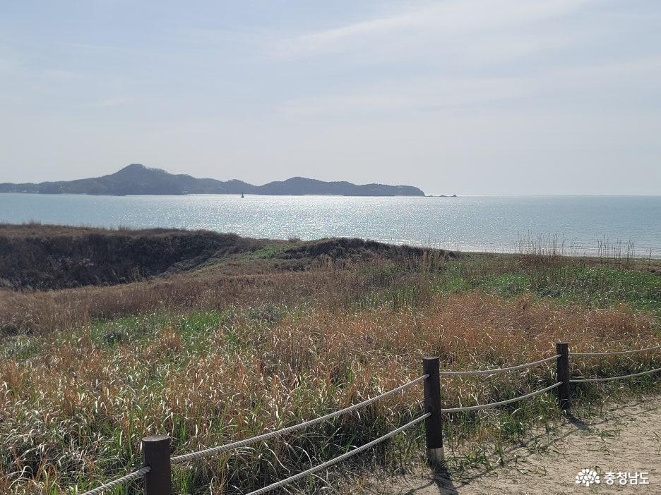 신두리 해안사구