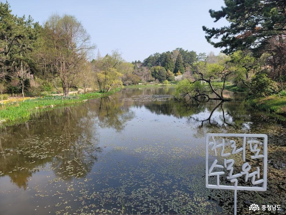 천리포수목원