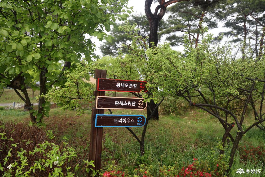 예산황새공원의 황새가 살고 있는 공간