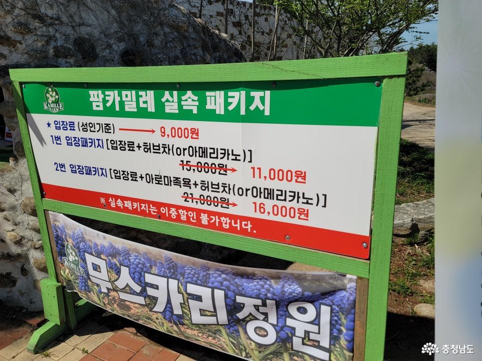 태안 팜카밀레 허브농원