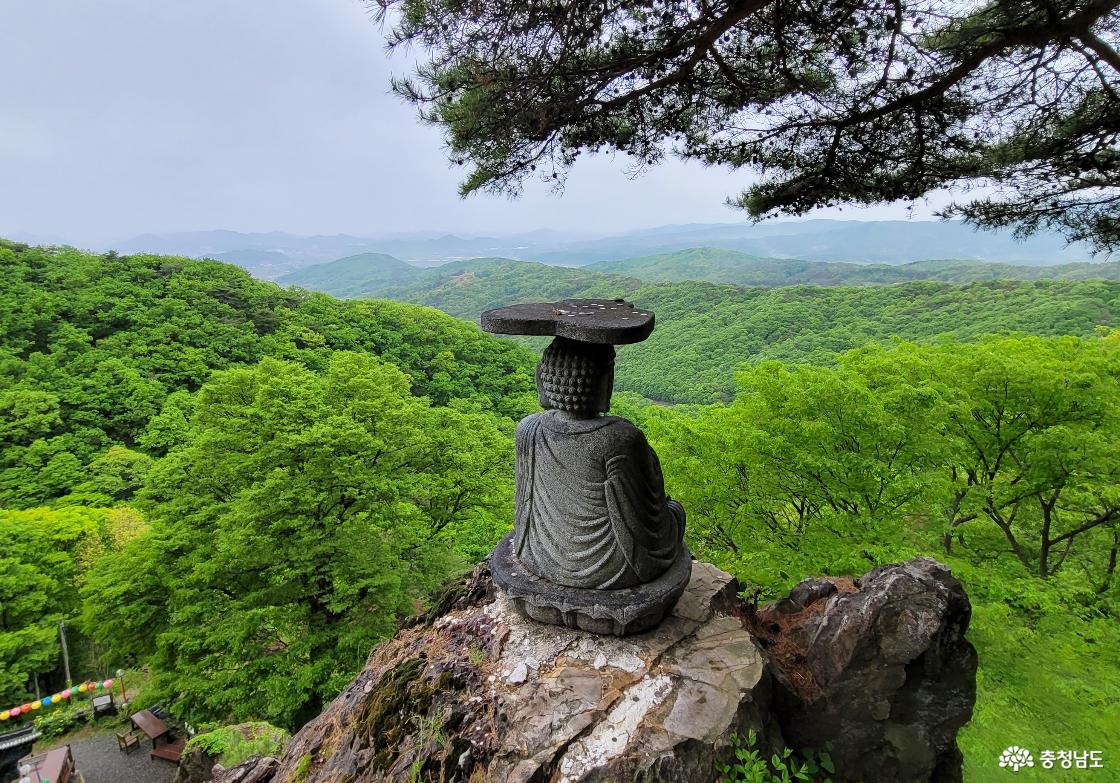 천년고찰 공주 동혈사에서 혈암 위에 세상을 바라보는 약사여래부처의 모습.