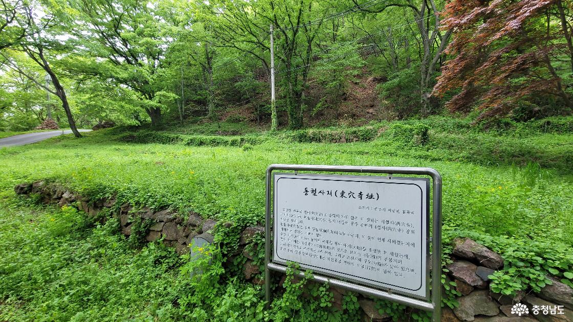 천년고찰 공주 동혈사지. 백제 도읍 4대 풍수비보사찰의 하나라는 전설이 전해진다.