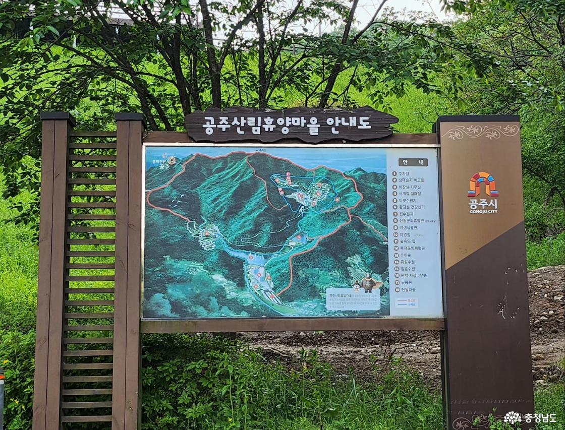 공주 치유의 숲 1시간 산책(공주산림휴양마을)