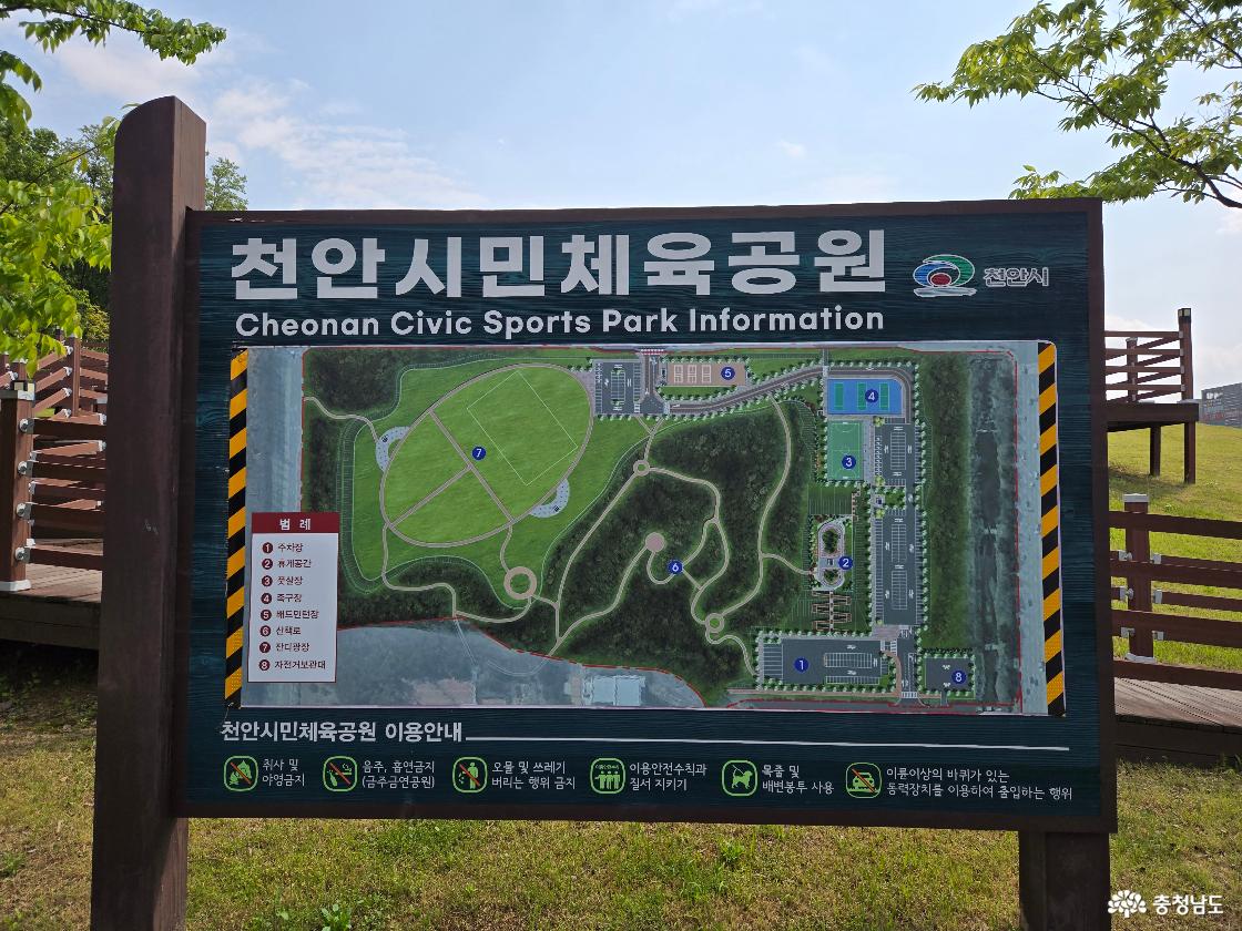 천안 시민체육공원 산책 후기