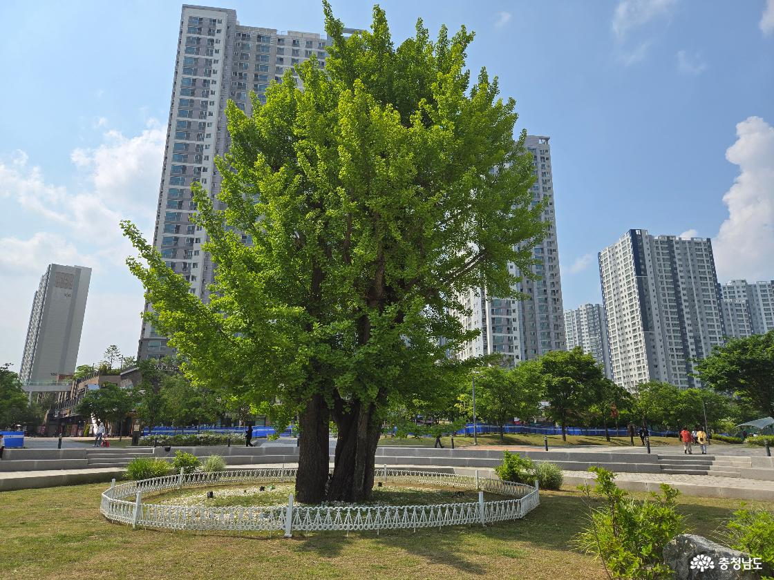 공원