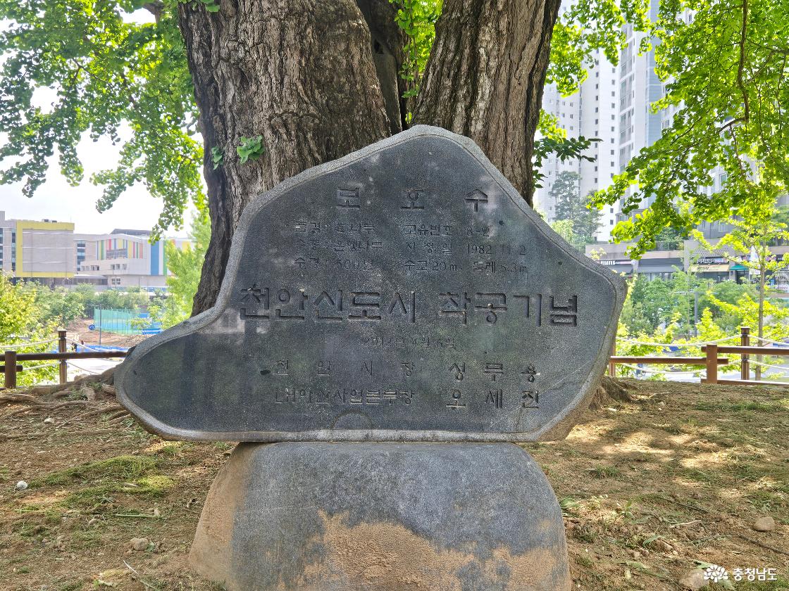 공원