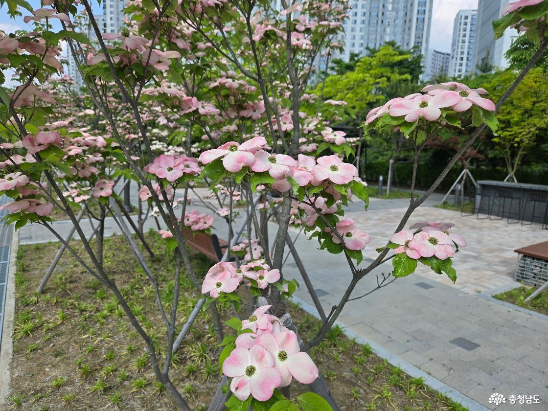 공원