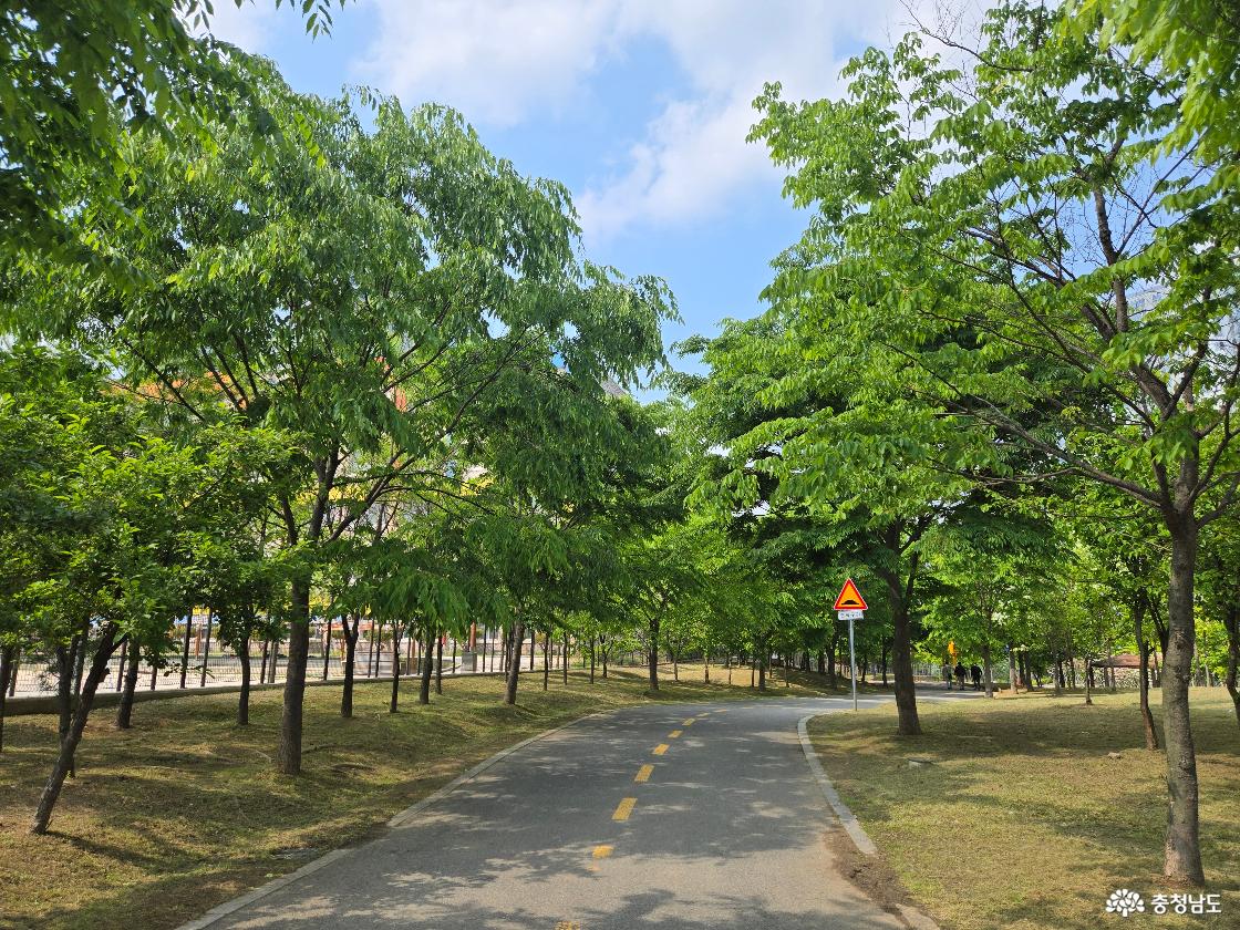 공원
