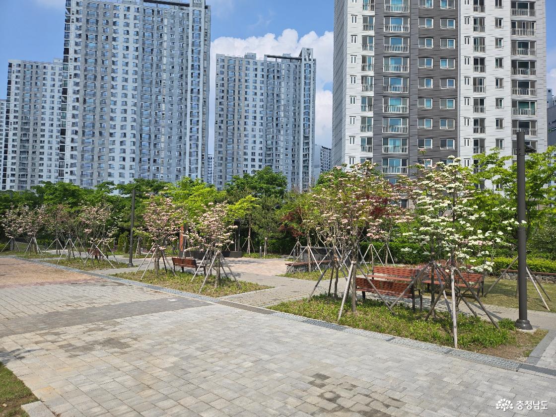 공원