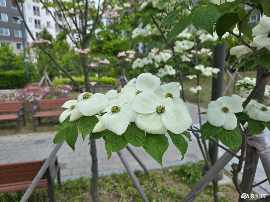 공원