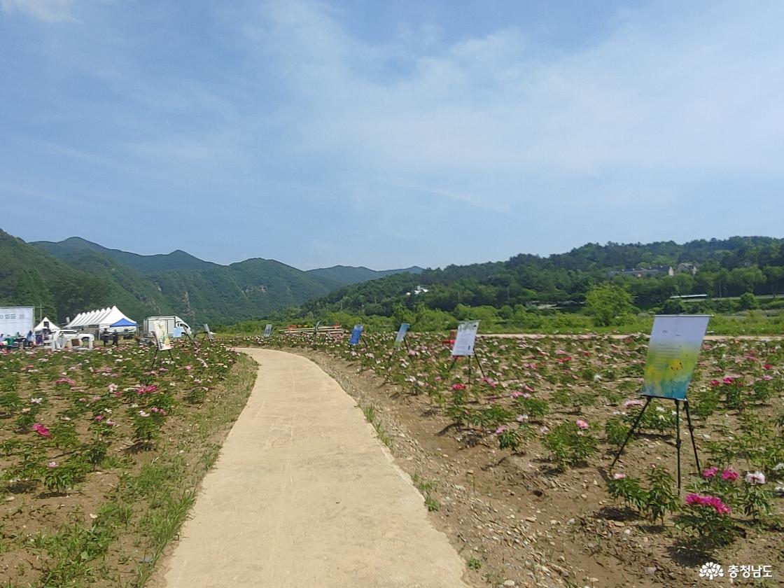 작약꽃길에 전시된 마을 주민 시화들