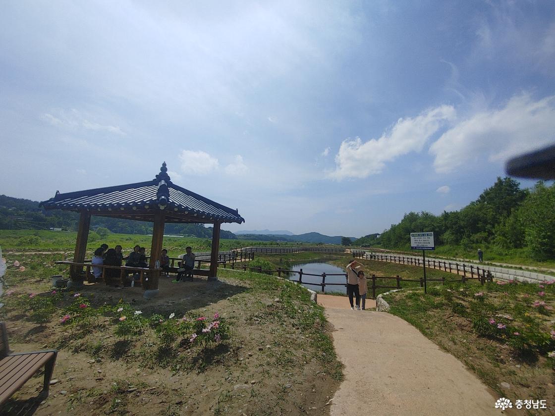 한반도 모양 조개둠병 옆에 세워진 정자