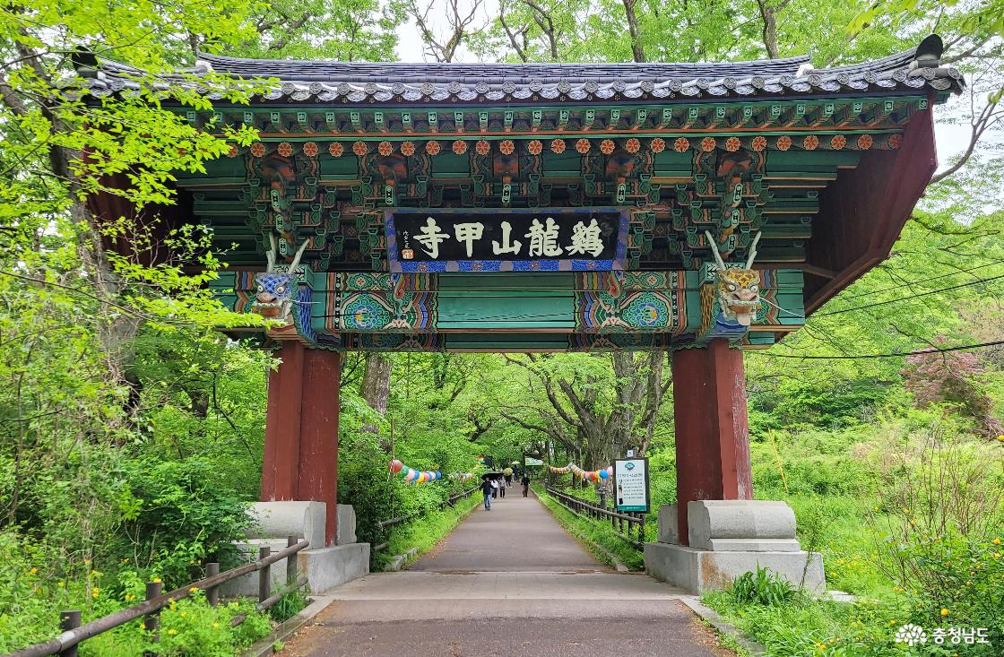 천년고찰 공주 계룡산 갑사 일주문,