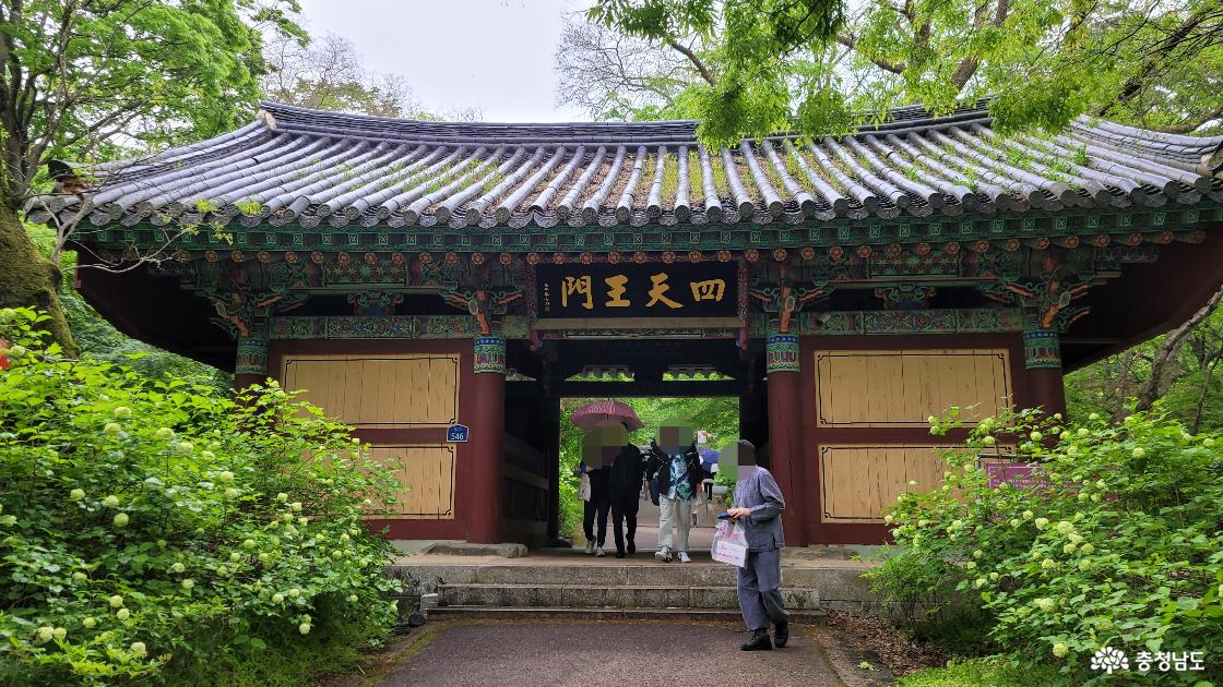 천년고찰 공주 계룡산 갑사 사천왕문.