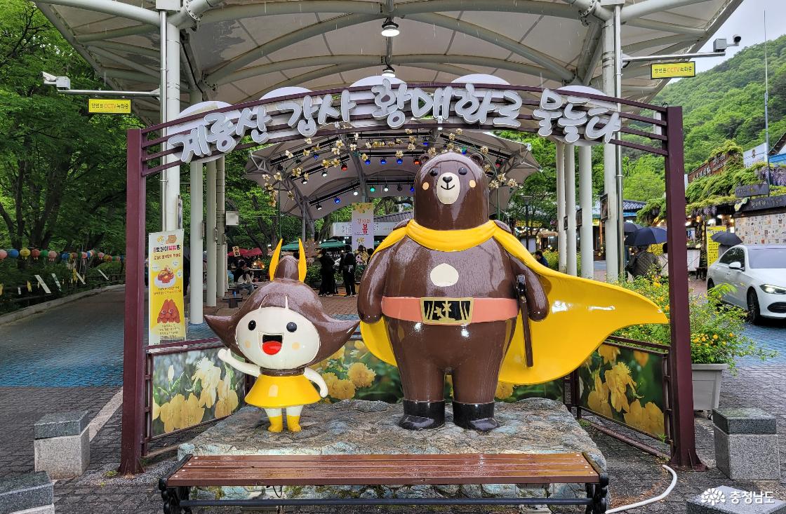 천년고찰 공주 계룡산 갑사에서는 봄이면 황매화축제가 열린다.