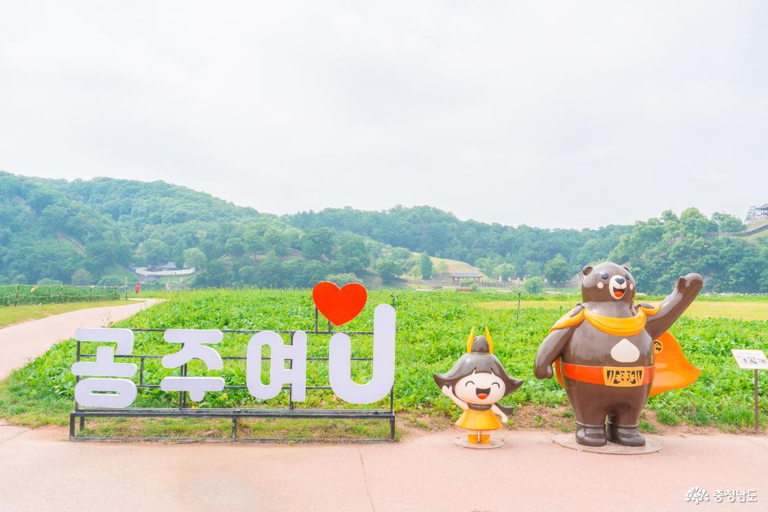 공주 미르섬과 공주 금강신관공원 안내