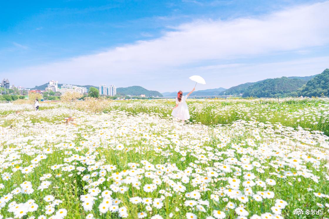 공주 미르섬과 공주 금강신관공원 안내
