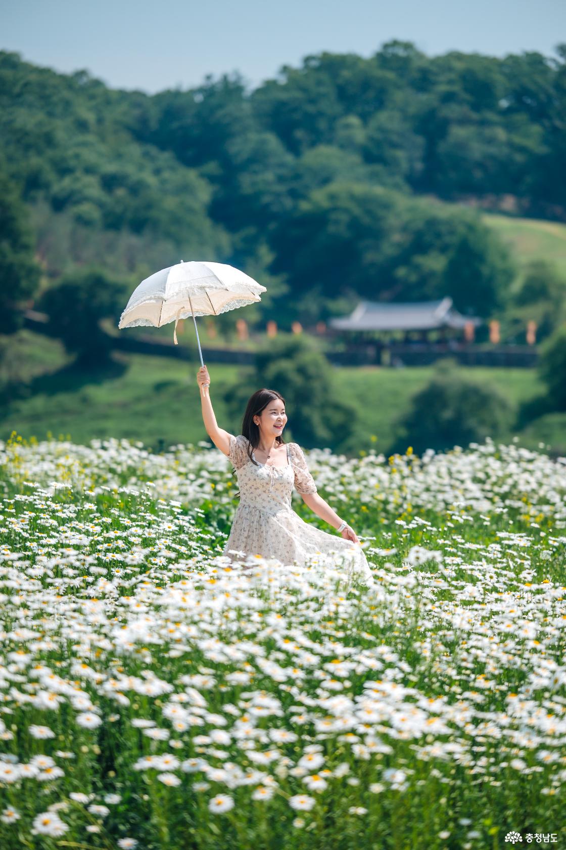공주 미르섬과 공주 금강신관공원 안내