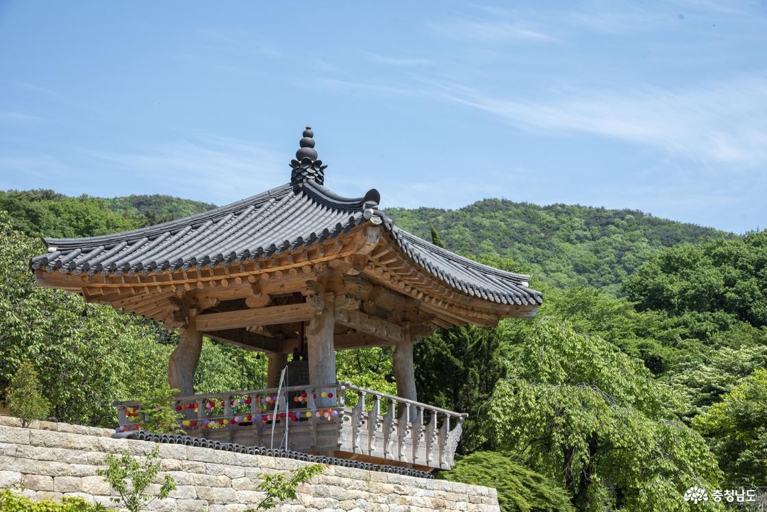 조용한 산사에서 즐기는 여유로운 하루