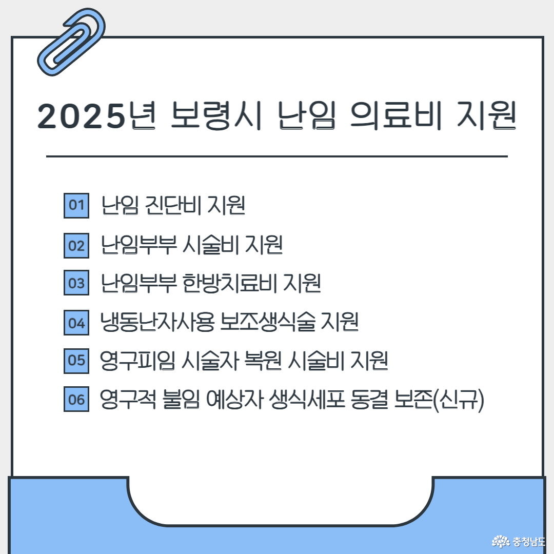 2025년 보령시 난임 의료비 지원 사업6