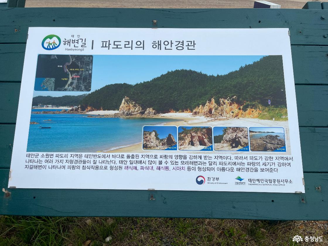 파도와 시간이 빚어낸 몽돌의 해변, "파도리"