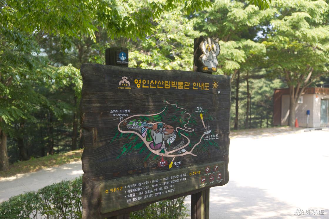 자연휴양림에서 약 20분 정도 올라오면 영인산산림박물관에 도착할 수 있다