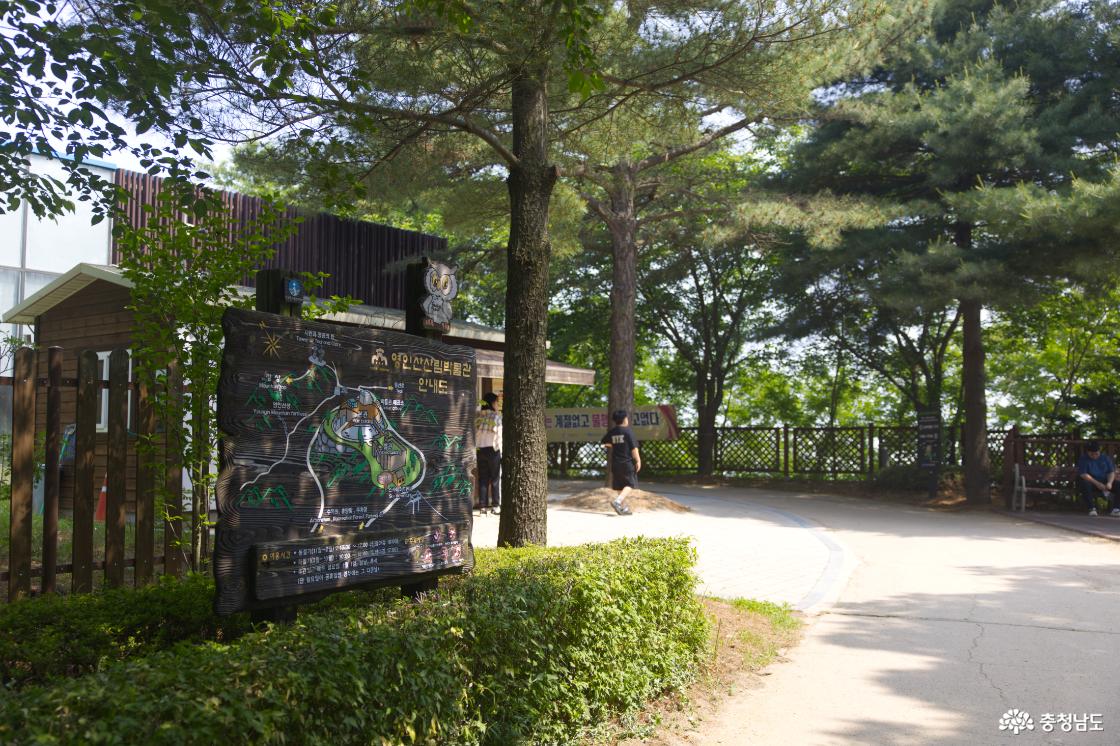 산림박물관 관람을 마치고 정상으로 향하거나 스카이어드벤쳐로 여행을 이어오면 된다