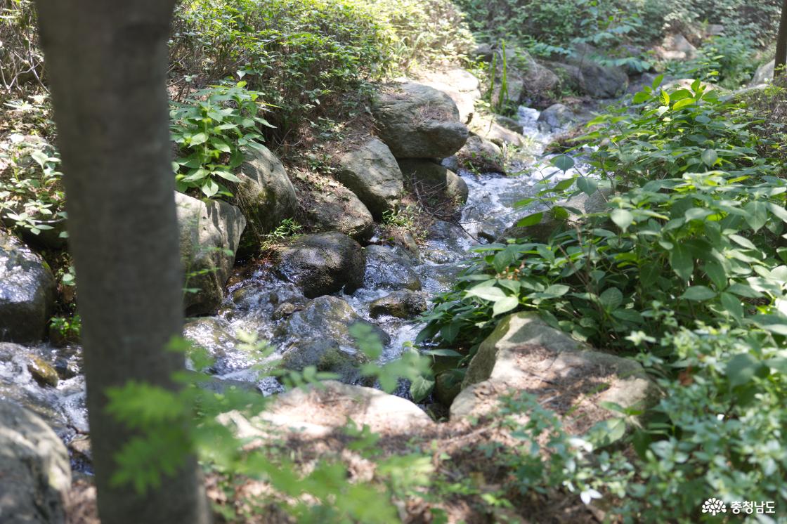 올라갈 때와 내려갈 때의 산책로를 바꿔보는 것도 영인산을 즐기는 매력이다