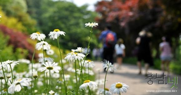 아름다운 꽃세상 청양고운식물원