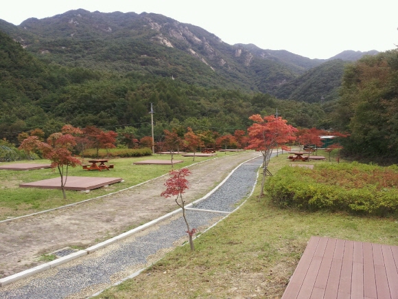 오토인 이미지