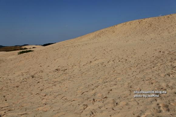 우리나라 최대의 모래언덕 태안 신두리해안사구 사진