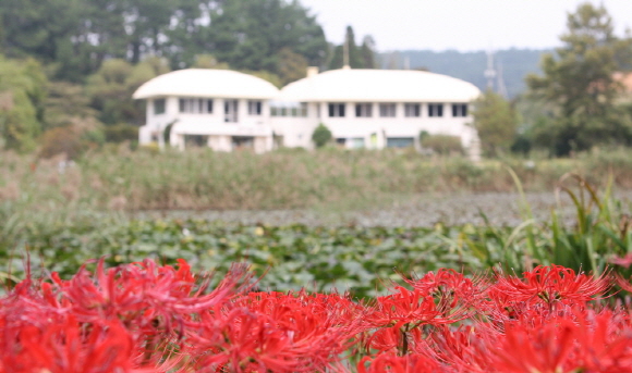 천리포수목원, 한국 관광 기네스에 오르나