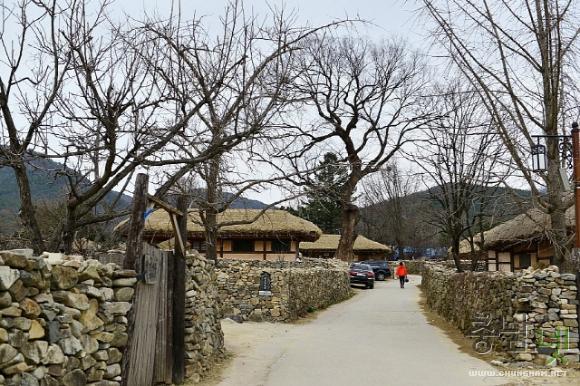 봄맞이 한창인 외암민속마을 사진